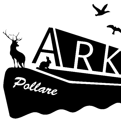 logo-ark